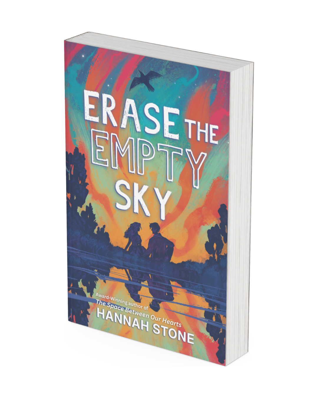 Erase the Empty Sky (Paperback)