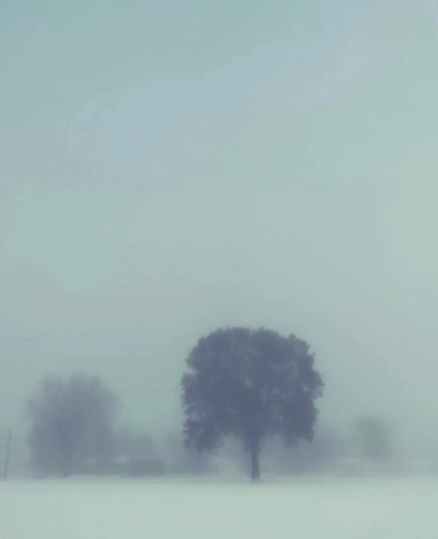 The Fog